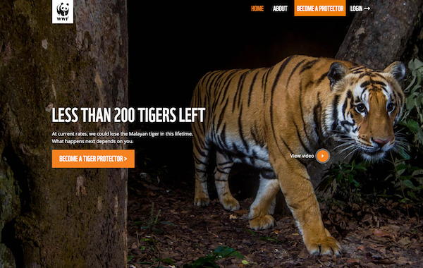 Tiger adoption
